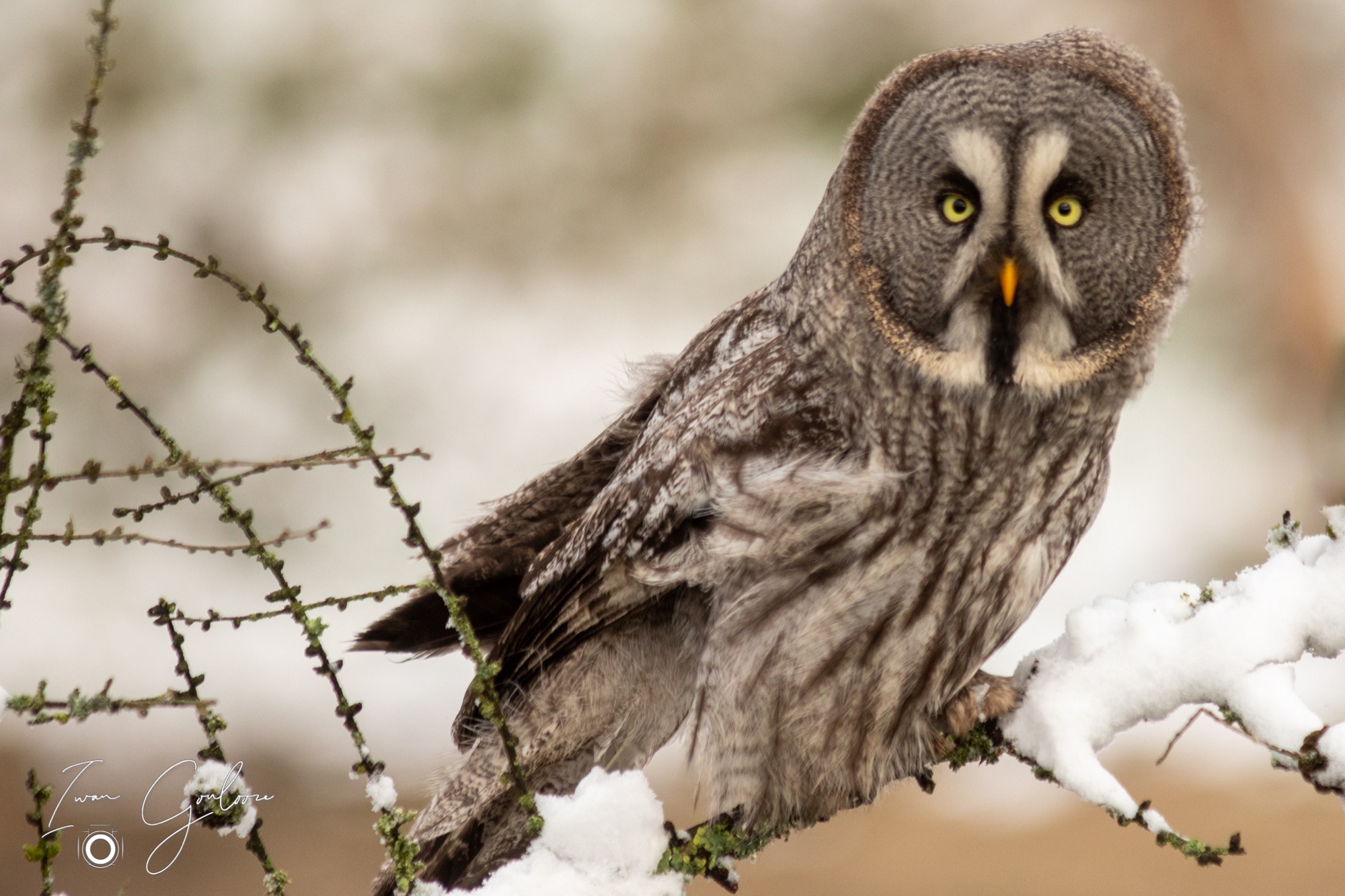 01 april 2022 104954  5D45470